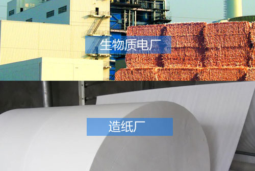 20-50mm木片造紙廠電廠