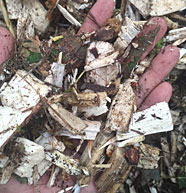 移動柴油鼓式削片機效果4