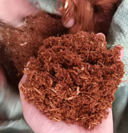 標準鋸末機效果4