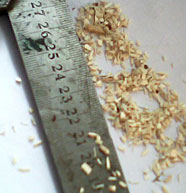 GH1000移動柴油版木削機效果4