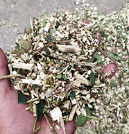 大型碎木機效果4