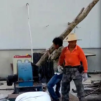 小型樹枝粉沫機小型