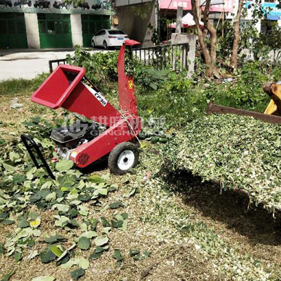 小型碎木機(jī)現(xiàn)場(chǎng)小型移動(dòng)碎木機(jī)