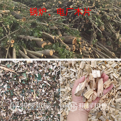 鍋爐電廠木片木渣機(jī)