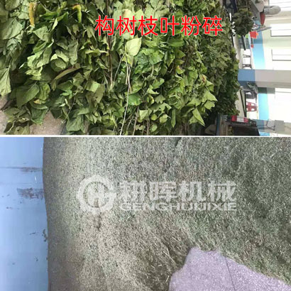 構(gòu)樹枝葉粉碎機(jī)