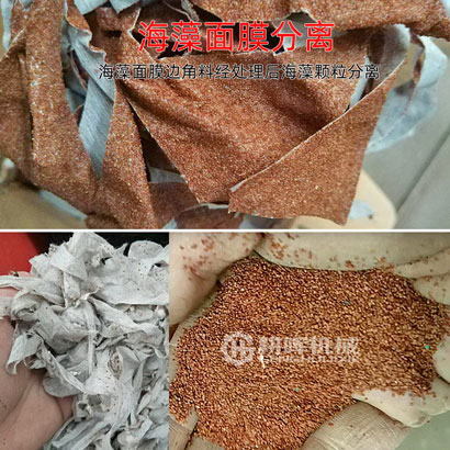 海藻面膜粉碎機(jī)海藻面膜分離海藻顆粒