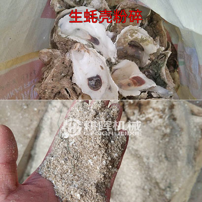 生蠔殼粉碎機(jī)牡蠣殼粉碎機(jī)蝦蟹蚌殼粉碎機(jī)