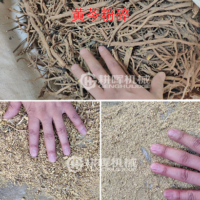 黃芩粉碎機(jī)黃芩打碎機(jī)中藥黃芩