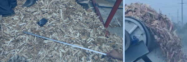 大型雙軸樹根破碎機大型樹墩破碎機樹樁粉碎機