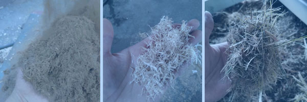 自動進料揉絲粉碎機